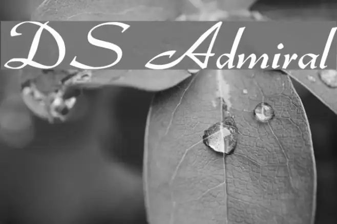 DS Admiral Example 3