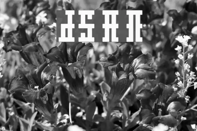 DS Ayaks Normal Font examples