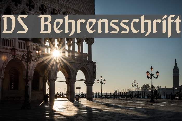 DS Behrensschrift Example 2