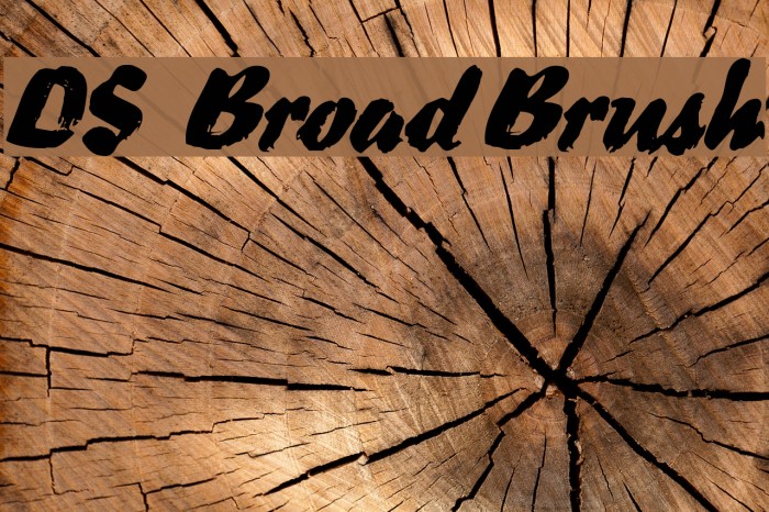 DS BroadBrush フォント examples