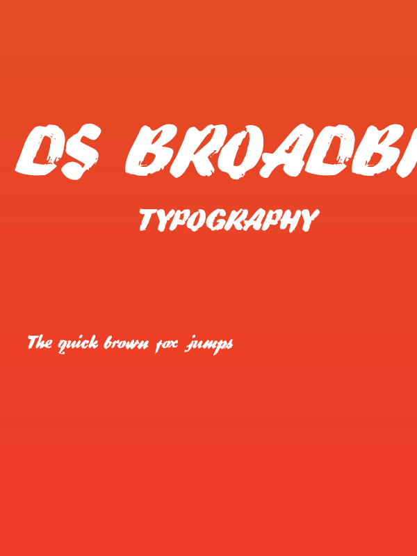 DS BroadBrush Poster