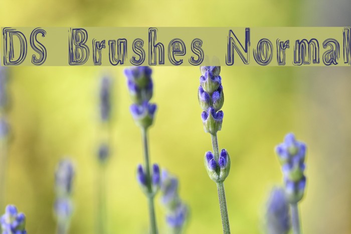 DS Brushes Normal Font examples