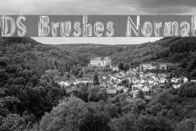 DS Brushes Normal Example 2