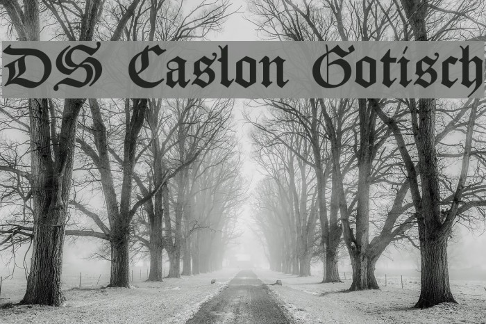 DS Caslon Gotisch Font examples