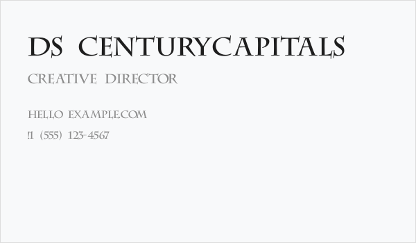 DS CenturyCapitals Business Card