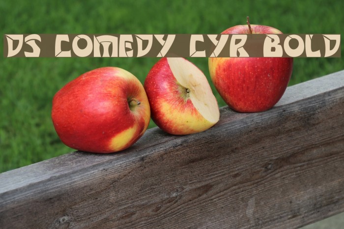 DS Comedy Cyr Bold Font examples
