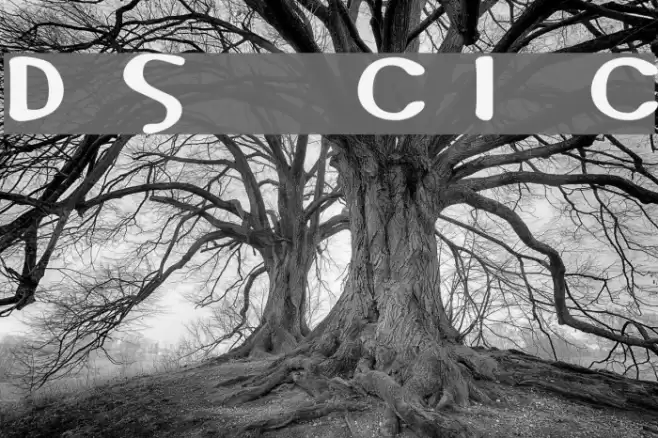 DS Coptic Font examples