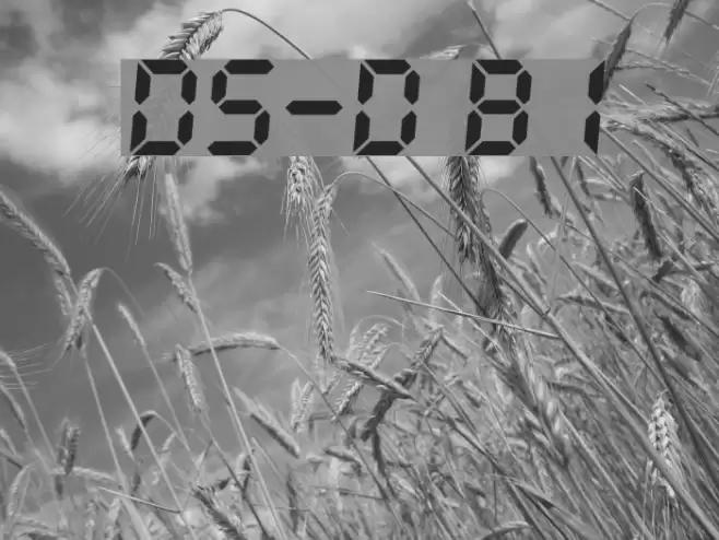 DS-Digital Bold Italic Font examples