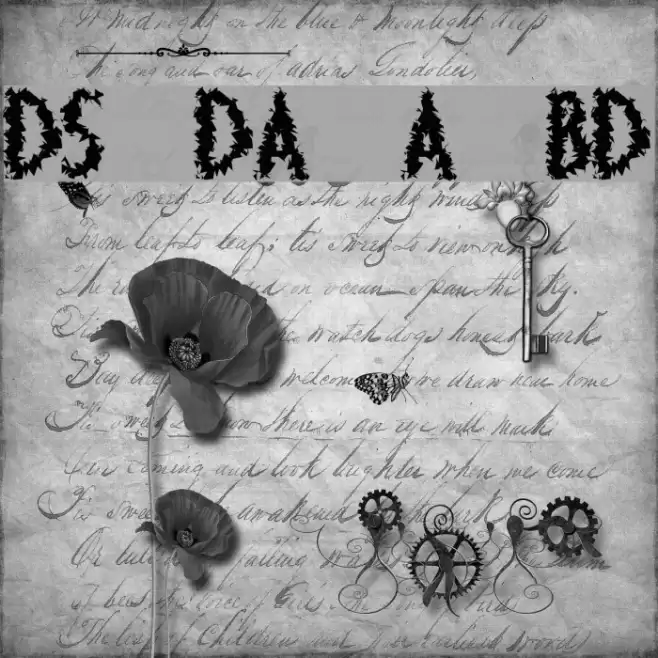 DS Diploma Art Bold Schriftart examples
