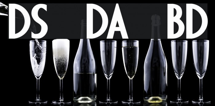DS Diploma Bold Font examples