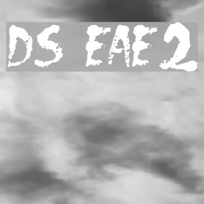 DS Eraser2 Example 1