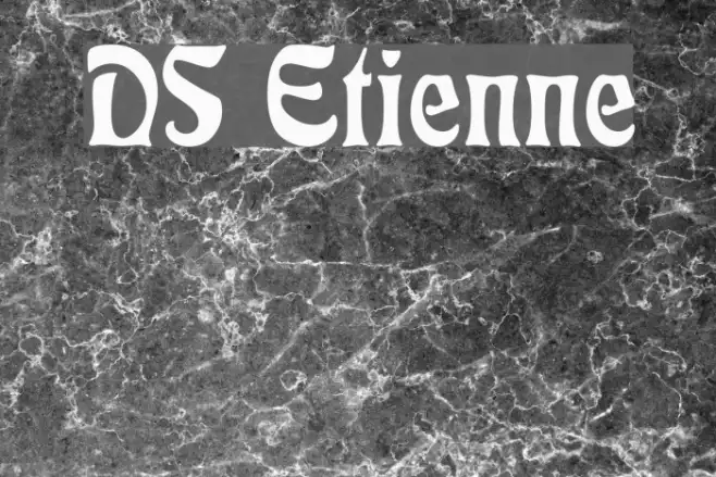 DS Etienne Example 1