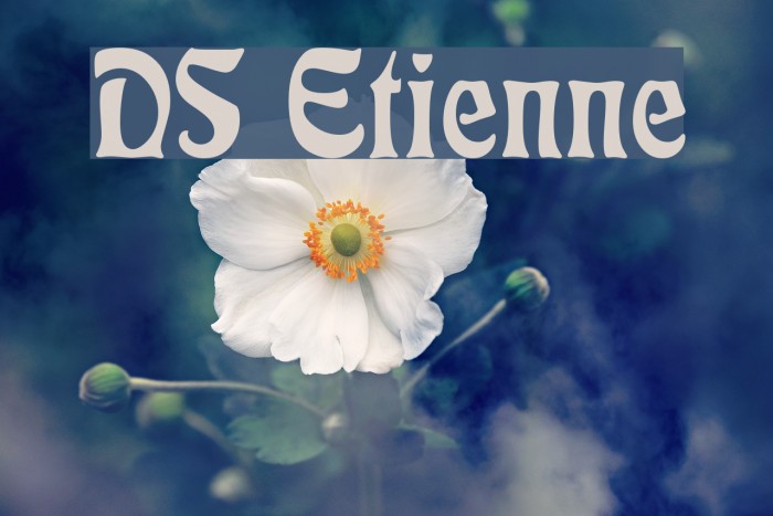 DS Etienne Font examples