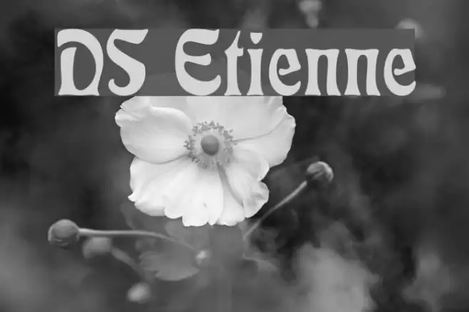 DS Etienne Example 2