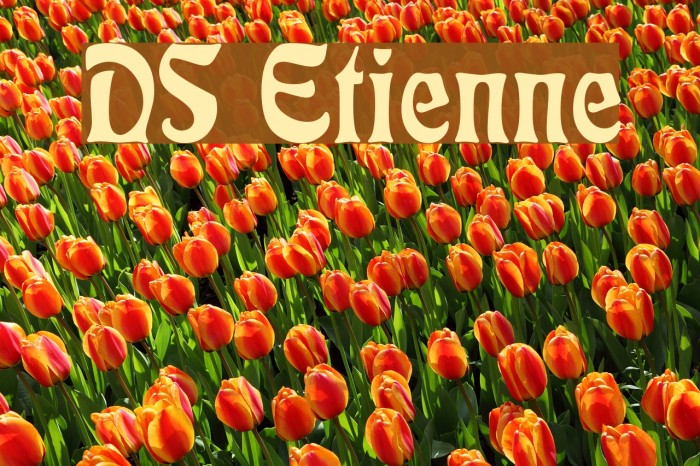 DS Etienne Font examples
