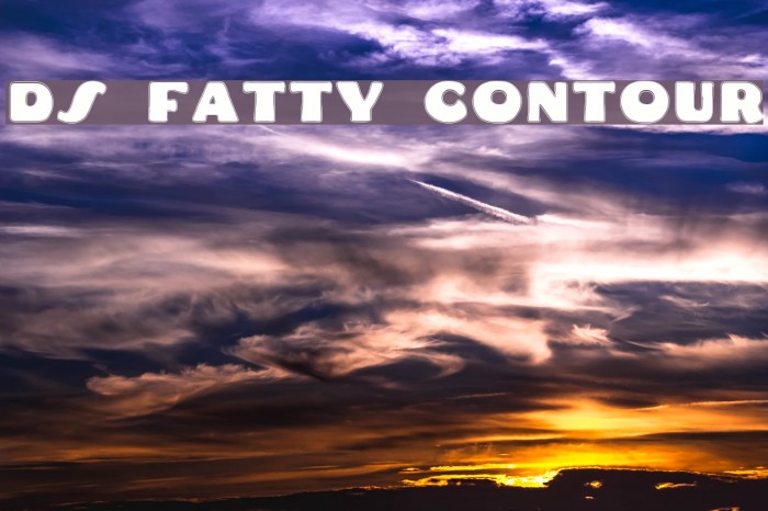 DS Fatty Contour Font examples