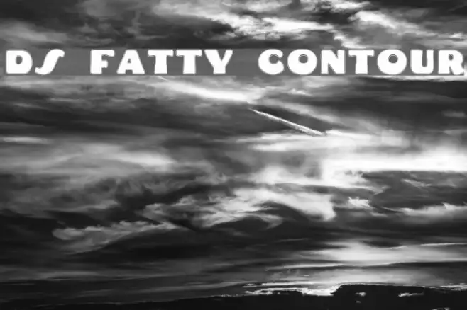 DS Fatty Contour Example 1