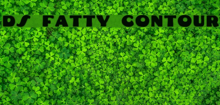 DS Fatty Contour Font examples