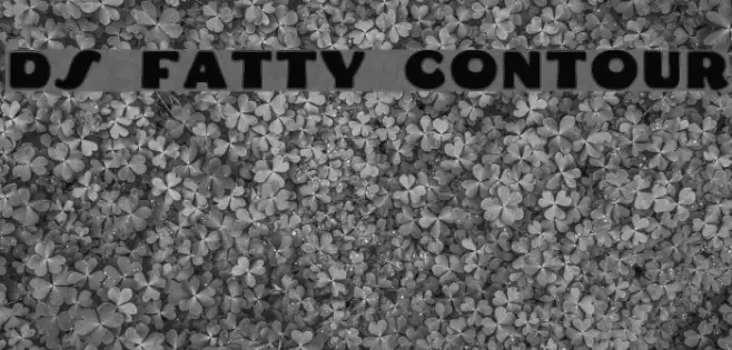 DS Fatty Contour Example 3