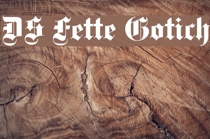 DS Fette Gotisch Font examples
