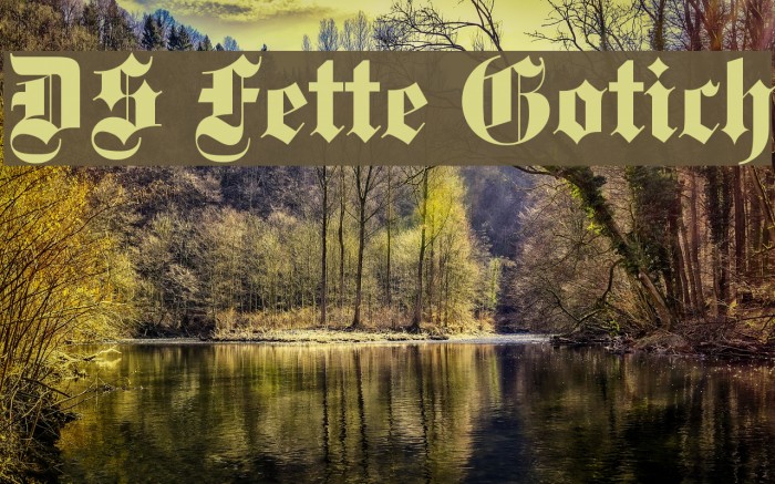 DS Fette Gotisch Font examples