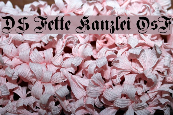 DS Fette Kanzlei OsF Example 3