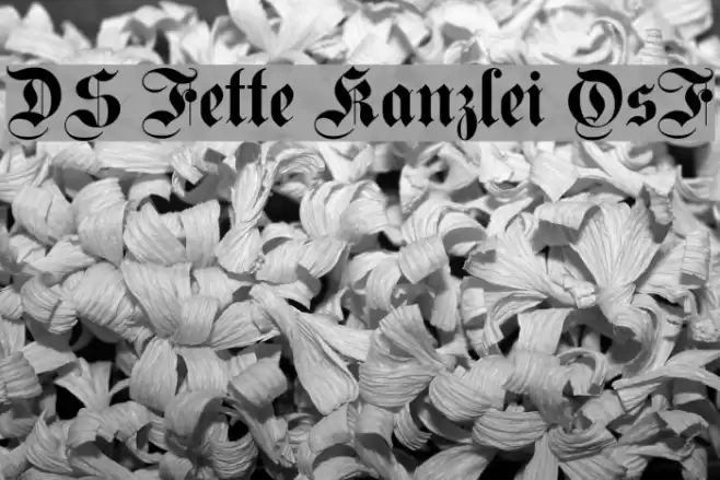 DS Fette Kanzlei OsF Font examples