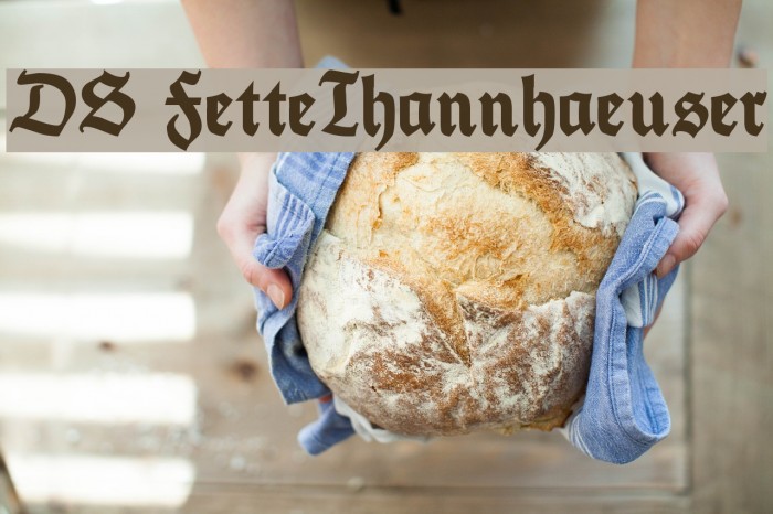 DS FetteThannhaeuser Font examples