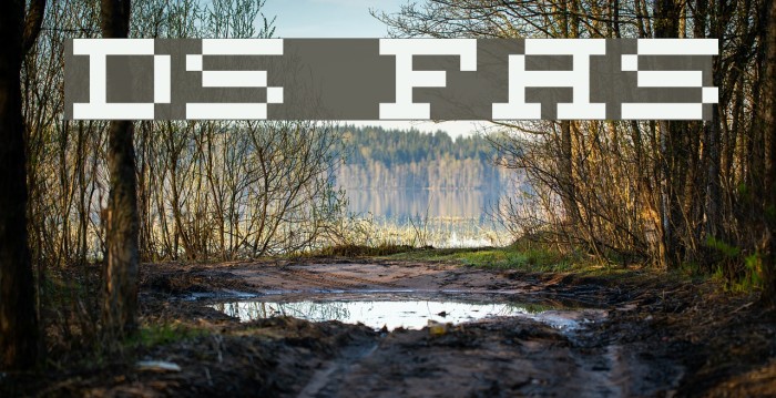 DS FlashSerif Font examples