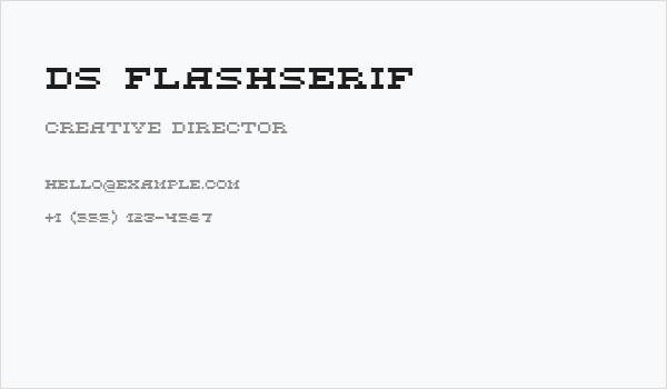 DS FlashSerif Business Card