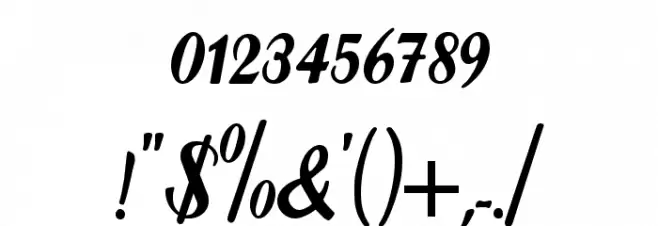 DS Forelle Font OTHER CHARS