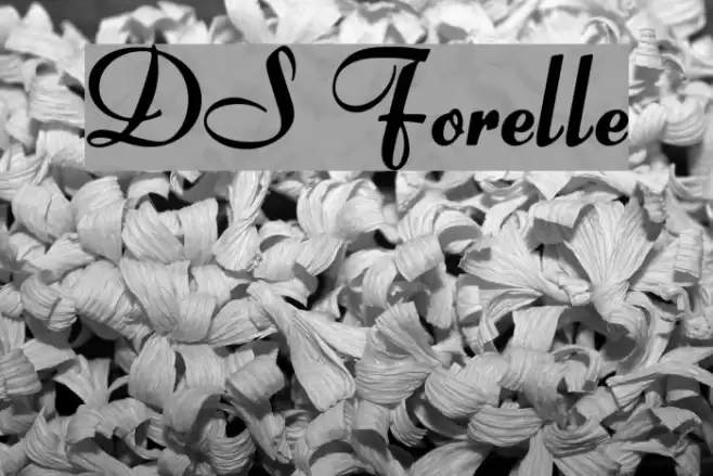 DS Forelle Font examples