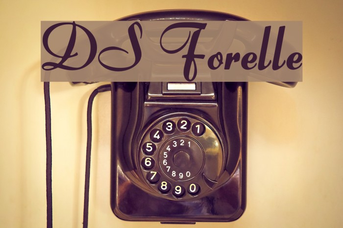 DS Forelle Example 3