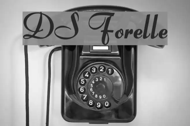 DS Forelle Font examples