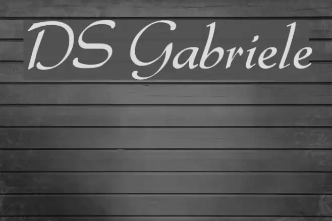 DS Gabriele Font examples