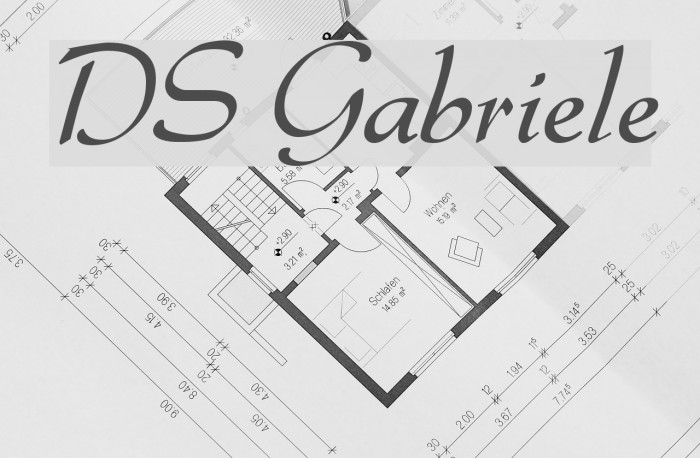 DS Gabriele Example 3