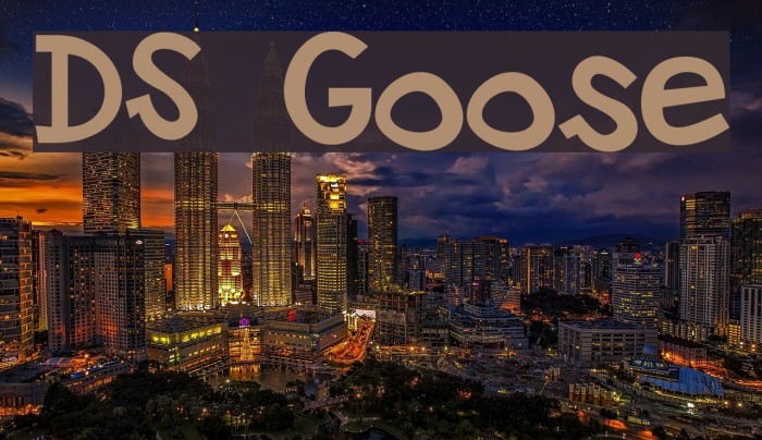 DS Goose Font examples