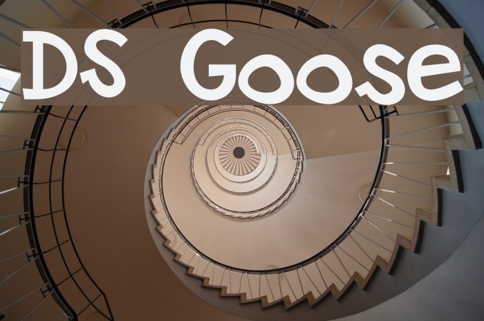 DS Goose Font examples