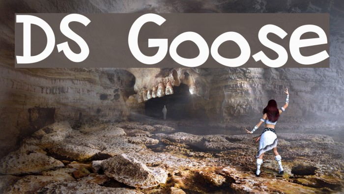 DS Goose Font examples