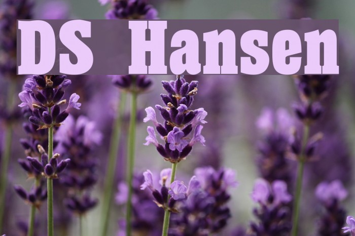 DS Hansen Font examples