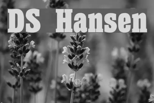 DS Hansen Example 1