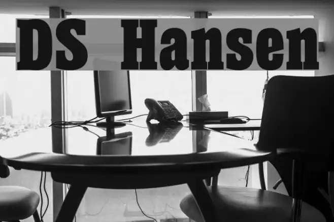 DS Hansen Example 2