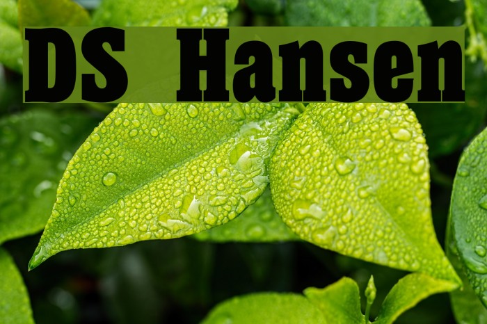 DS Hansen Font examples