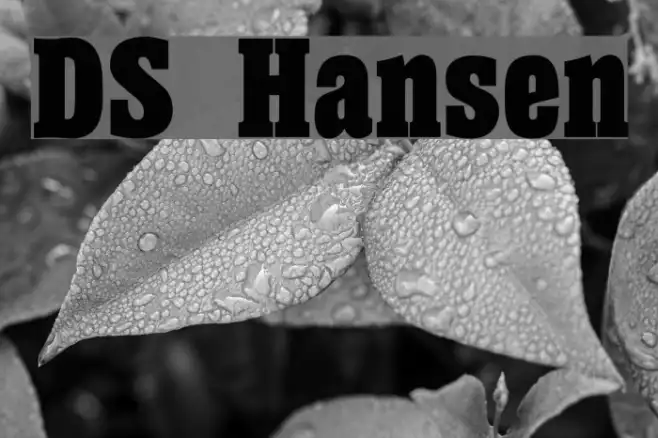 DS Hansen Example 3