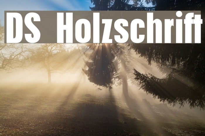 DS Holzschrift Font examples