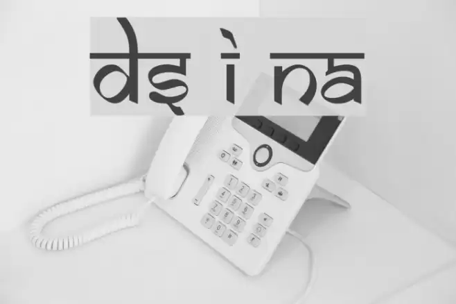 DS Izmir Normal Schriftart examples