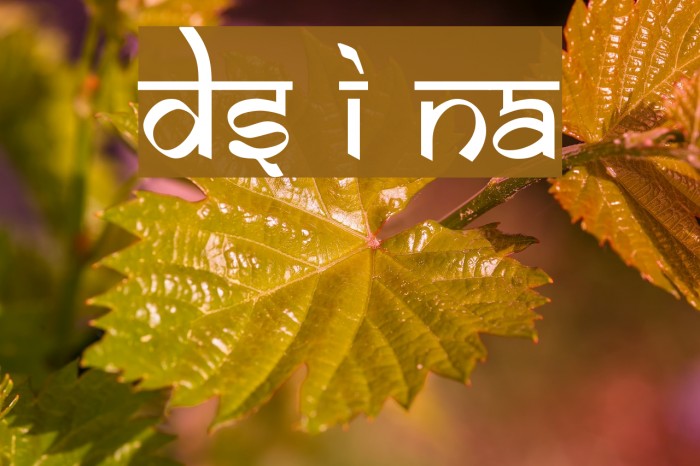 DS Izmir Normal Schriftart examples