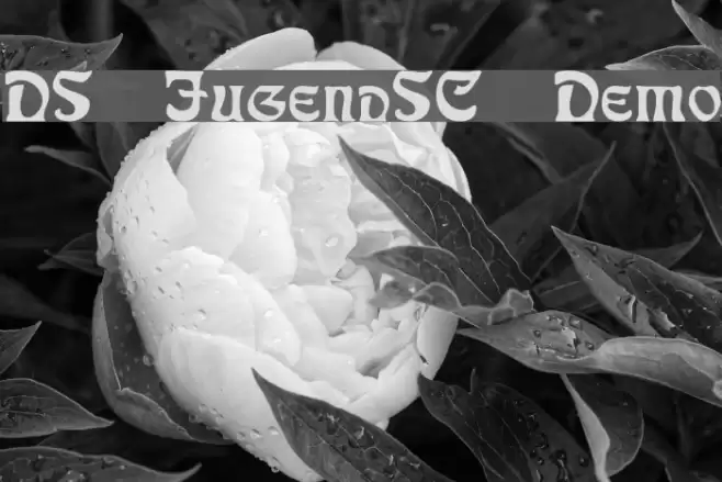 DS JugendSC Demo Font examples