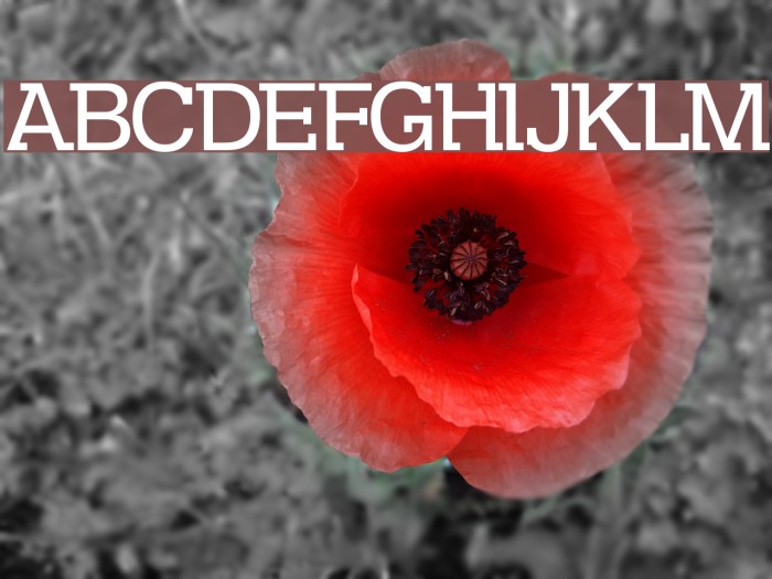 DS Kolovrat Font examples