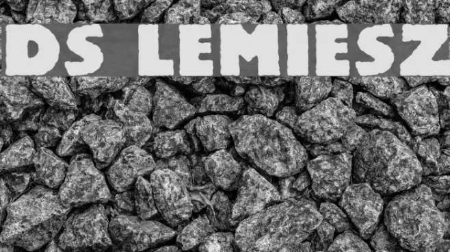 DS Lemiesz Example 1